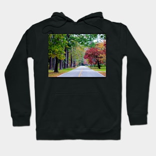 The Look Of Fall Hoodie